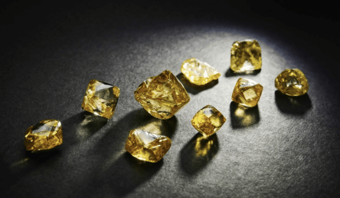 Burgundy diamond mines reduces debt through convertible notes payout