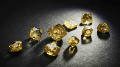 Burgundy diamond mines reduces debt through convertible notes payout