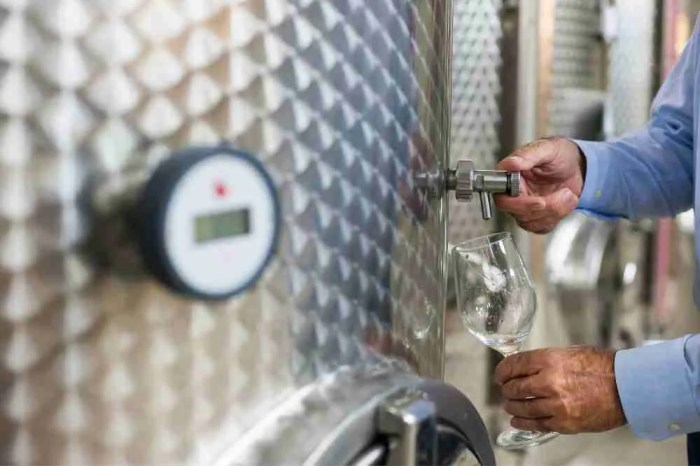 Traditional vs evolution wine making