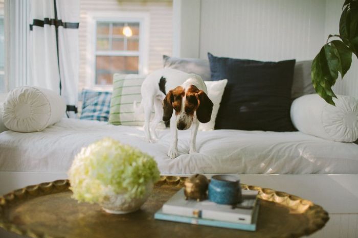 Kelley howley At home with kelley howley