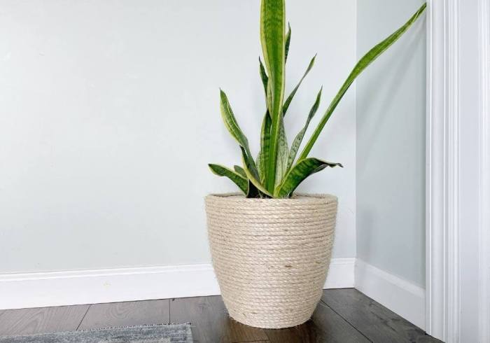 3 tier indoor rope planter