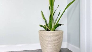 3 tier indoor rope planter