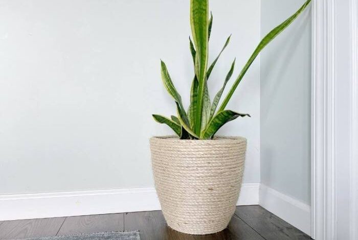 3 tier indoor rope planter