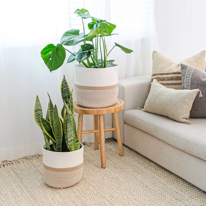 3 tier indoor rope planter