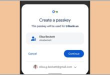 Google passkeys chrome android