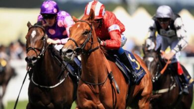 Royal ascot dining and millinery