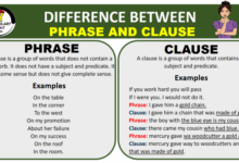 Shop the holiday house