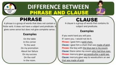 Shop the holiday house