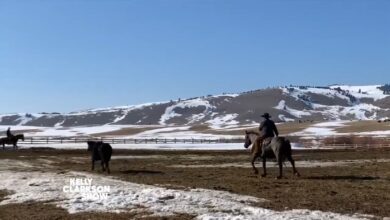 At home with kelly moore clark in ruston louisiana