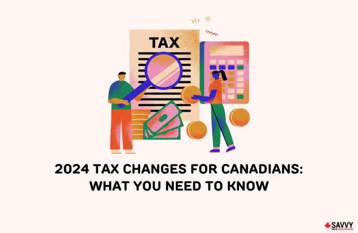 Canadians pay price new tax rules proposed